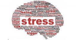 Rischio stress: un’indagine tra lavoratori, RLS e datori di lavoro - News 2018 - 3C Srl